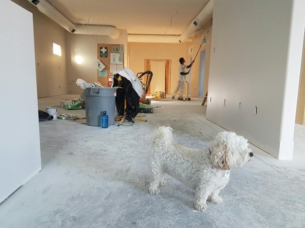 Bois Arts Renovation